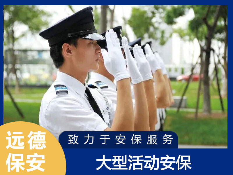 上海静安大型活动现场安保